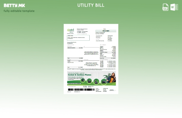 модерен стил пакистанска PTCL комунална сметка. шаблон
